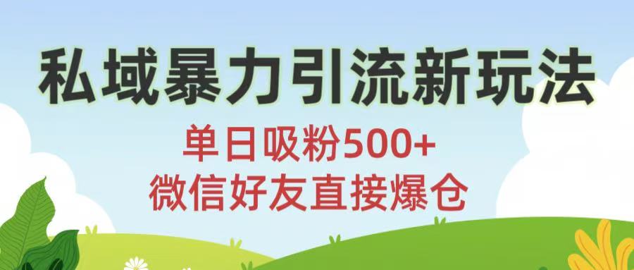 私域暴力引流新玩法!单日吸粉500+，微信好友直接爆仓网创吧-网创项目资源站-副业项目-创业项目-搞钱项目网创吧