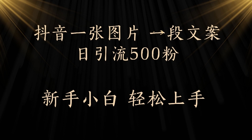 抖音一张图片，一段文案日引流500粉，新手小白 轻松上手网创吧-网创项目资源站-副业项目-创业项目-搞钱项目网创吧