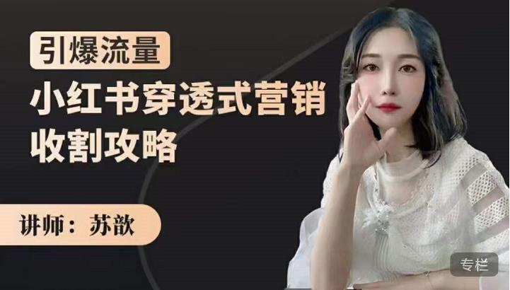 小红书穿透式营销收割攻略,引爆流量,助你玩转小红书网创吧-网创项目资源站-副业项目-创业项目-搞钱项目网创吧