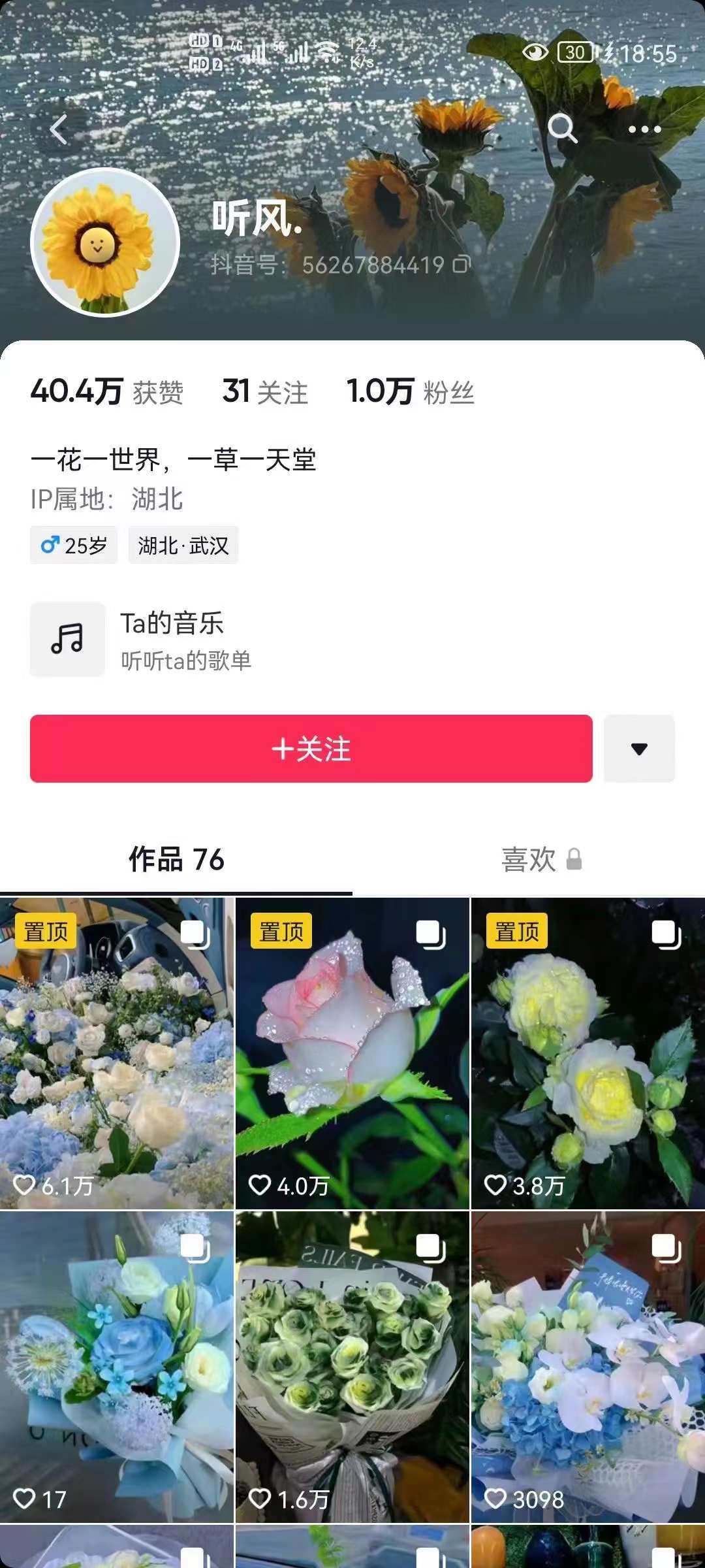 抖音壁纸变现项目：实战日入380+发布壁纸素材获取收益！网创吧-网创项目资源站-副业项目-创业项目-搞钱项目网创吧