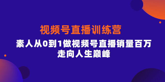 视频号直播训练营,素人从0到1做视频号直播销量百万,走向人生巅峰网创吧-网创项目资源站-副业项目-创业项目-搞钱项目网创吧