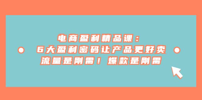 电商 盈利精品课：6大盈利 密码让产品更好卖，流量是刚需！爆款是刚需网创吧-网创项目资源站-副业项目-创业项目-搞钱项目网创吧