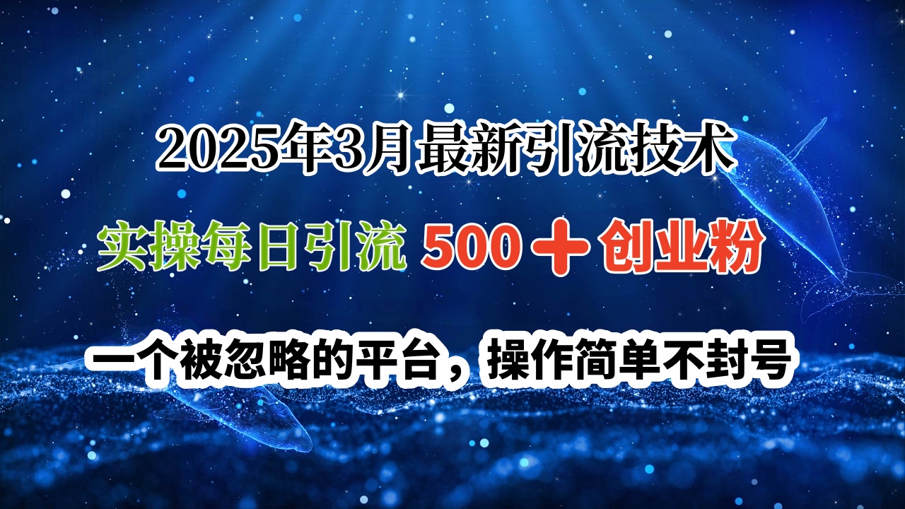 2025年3月最新引流技术,实操每日引流500➕创业粉,一个被忽略的平台,操作简单不封号网创吧-网创项目资源站-副业项目-创业项目-搞钱项目网创吧