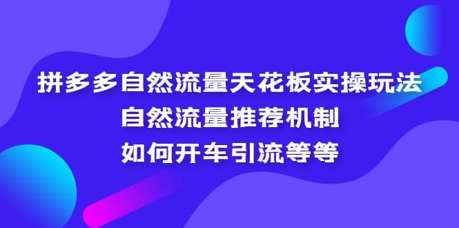 拼多多自然流量天花板实操玩法:自然流量推荐机制,如何开车引流等等网创吧-网创项目资源站-副业项目-创业项目-搞钱项目网创吧