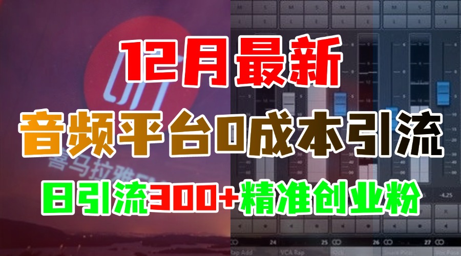 12月最新:音频平台0成本引流,日引300+精准创业粉网创吧-网创项目资源站-副业项目-创业项目-搞钱项目网创吧