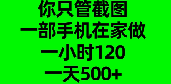 你只管截图,一部手机在家做,一小时120,一天500+网创吧-网创项目资源站-副业项目-创业项目-搞钱项目网创吧