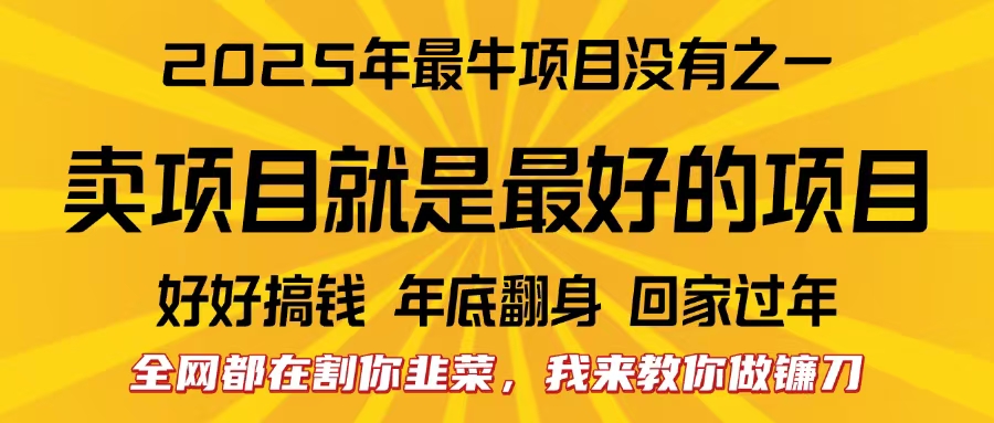 全网都在割你韭菜,我来教你做镰刀。卖项目就是最好的项目,2025年最牛互联网项目网创吧-网创项目资源站-副业项目-创业项目-搞钱项目网创吧